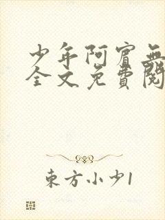 少年阿宾无删减全文免费阅读笔趣阁