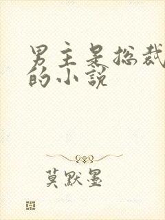 男主是总裁姓沈的小说