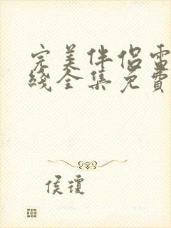 完美伴侣电影在线全集免费观看封面