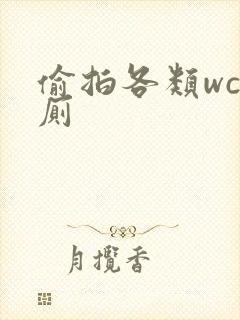 偷拍各类wc女厕