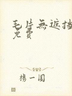 毛片无遮挡高清免费