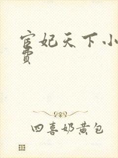 宦妃天下小说免费