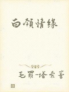 白领情缘
