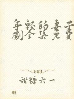 年轻的妻子电视剧全集免费观看封面