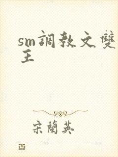 sm调教文双男主封面