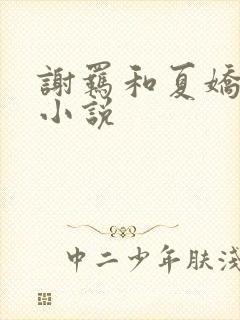 谢羁和夏娇娇的小说封面