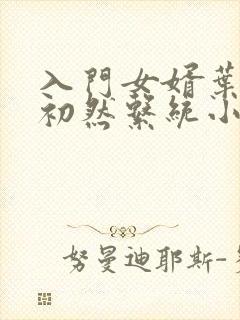 入门女婿叶辰萧初然系统小说封面