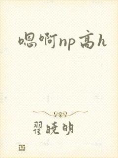 嗯啊np高h