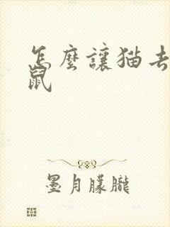 怎么让猫去抓老鼠