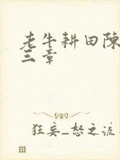 老牛耕田陈雪第三章