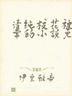 清纯校花被擒日常的小说免费阅读苏