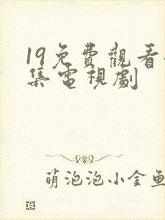 19免费观看全集电视剧封面