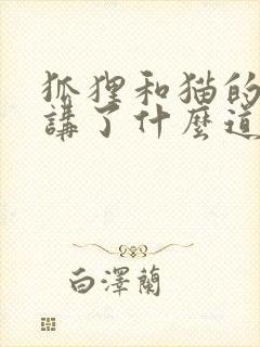 狐狸和猫的故事讲了什么道理