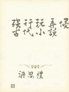 强行玩弄侵犯h古代小说封面