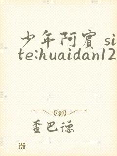 少年阿宾 site:huaidan1234.com