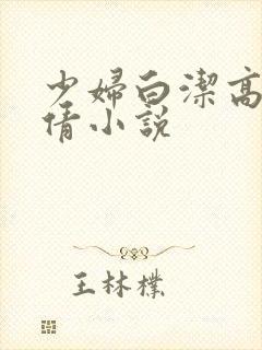 少妇白洁高义孙倩小说