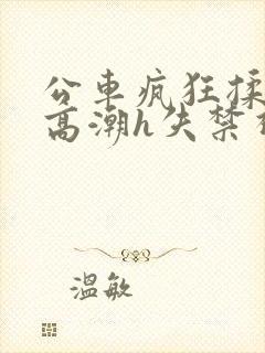 公车疯狂揉肉蒂高潮h失禁视频