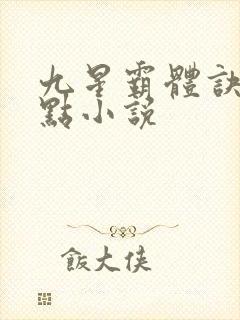 九星霸体诀 顶点小说
