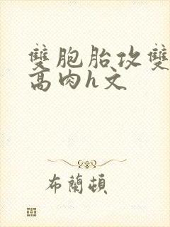 双胞胎攻双性受高肉h文