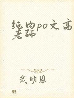纯肉po文高h老师