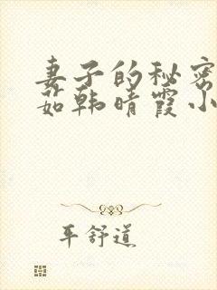 妻子的秘密林雅茹韩晴霞小说