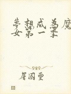 梦想成为魔法少女第一季封面