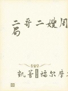 二哥二嫂周双结局封面
