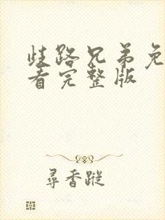 歧路兄弟免费观看完整版封面