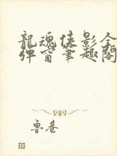 龙魂侠影全文无弹窗笔趣阁封面