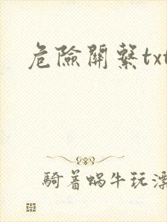 危险关系txt封面