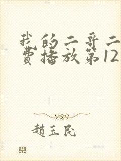 我的二哥二嫂免费播放第12集