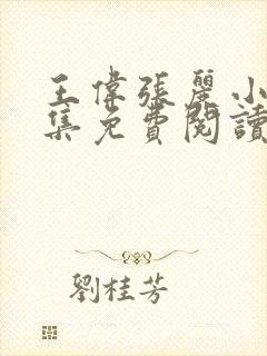 王伟张丽小说全集免费阅读