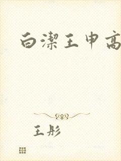 白洁王申高义