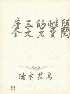 唐三的雌堕小说全文免费阅读