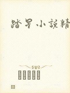 踏星小说精校版封面