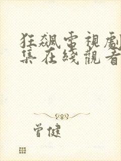 狂飙电视剧40集在线观看免费高清星辰影院