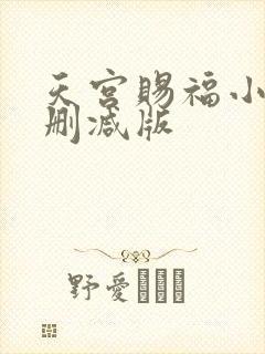天宫赐福小说无删减版