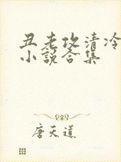 丑老攻清冷美人小说合集