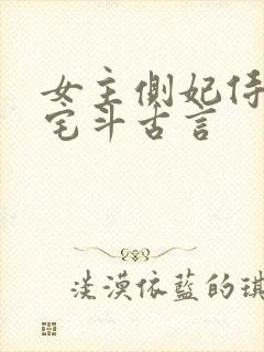 女主侧妃侍妾的宅斗古言