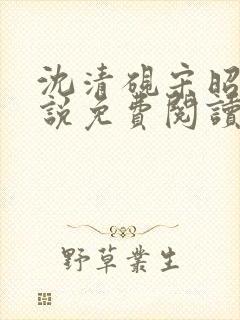 沈清砚宋昭汐小说免费阅读最新章节