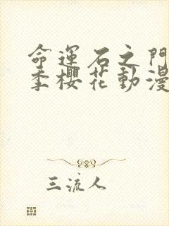 命运石之门第一季樱花动漫