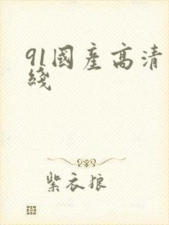 91国产高清在线