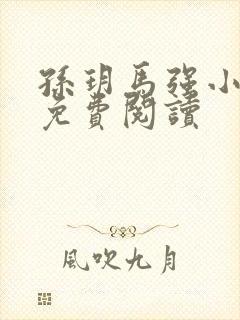 孙玥马强小说 免费阅读