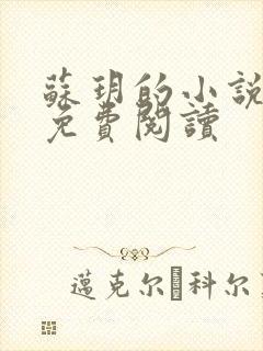 苏玥的小说全文免费阅读封面