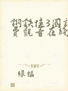 钢铁侠3国语免费观看在线高清完整版