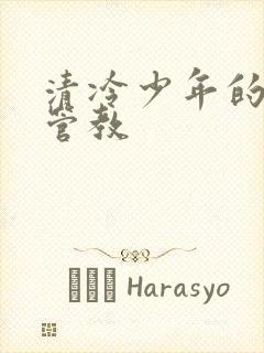 清冷少年的严厉管教