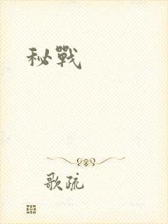 秘战