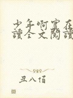 少年啊宾在线阅读全文阅读封面