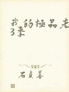 我的极品老婆第3季