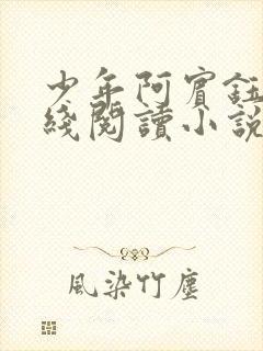 少年阿宾钰慧在线阅读小说txt